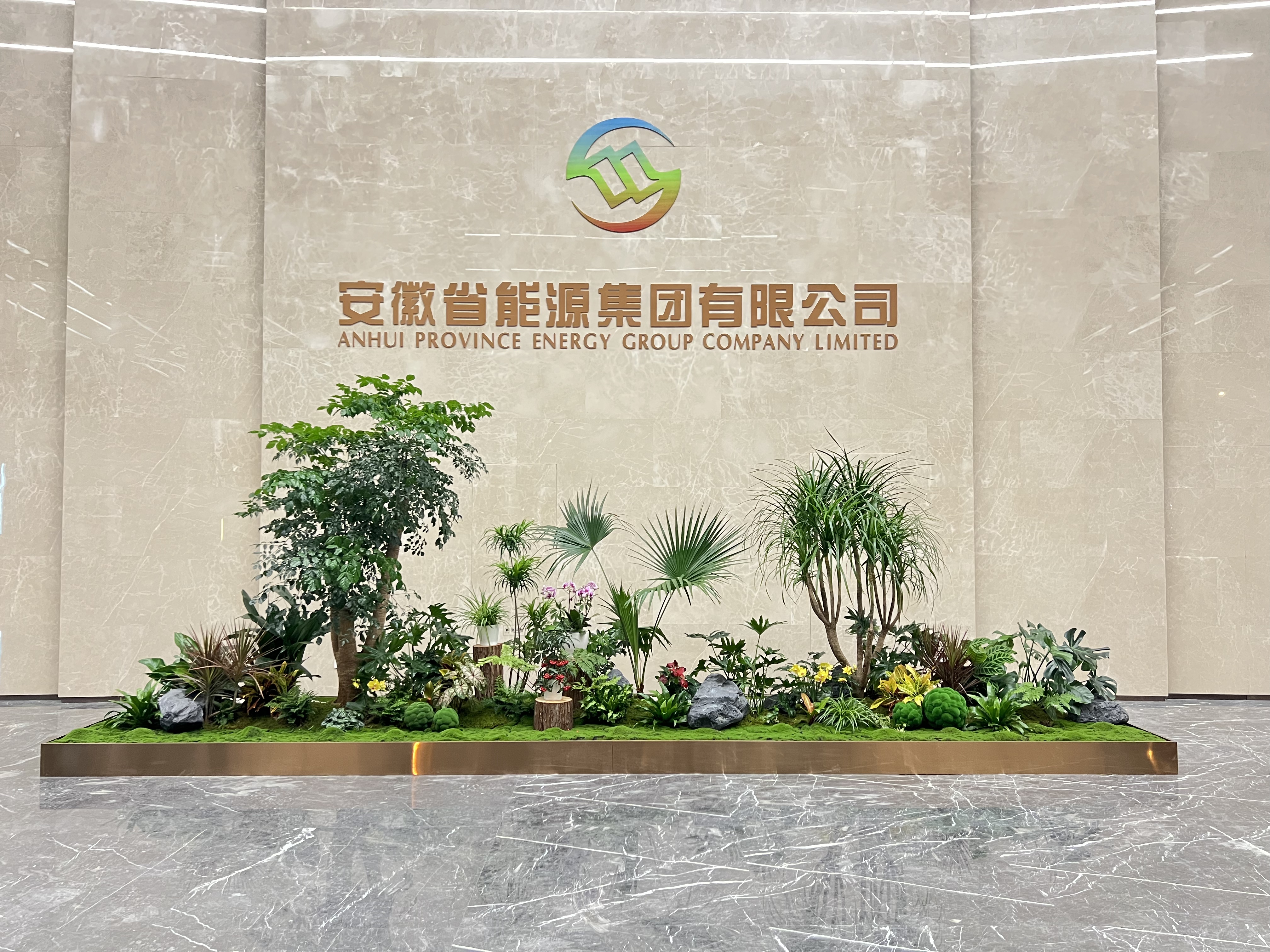 专业植物租赁,宁波余姚绿植美化空间首选